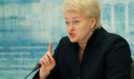 Prezidentė: visi, kurie bėga iš eismo įvykio vietos, nusižengia įstatymui