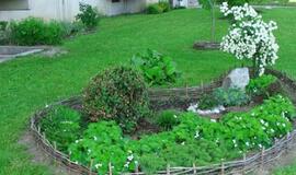 Išrinkti gražiausi Klaipėdos gėlynai