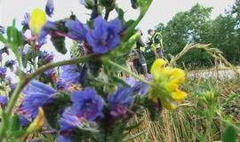 Lietingo ryto avarijoje sužeisti trys lenkai