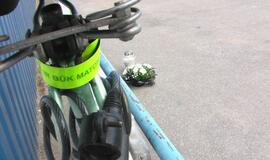 VMI kieme - moters mirtimi pasibaigusi avarija