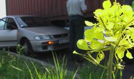 Nukentėjęs nuo avarijos latvis pretenzijų neturėjo