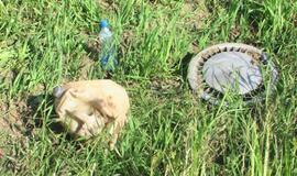 Vargana vairavimo patirtis nuvedė į griovį