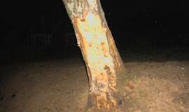 Šiurpioje avarijoje stebuklingai išvengta aukų