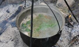 Sveikos gyvensenos šventė Baubliuose