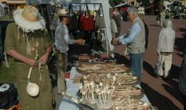 Kretingos miesto šventė