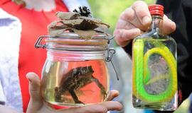 Sveikos gyvensenos šventė Baubliuose