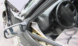 Po kraupios kaktomušos trys žmonės atsidūrė ligoninėje