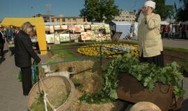 Kretingos miesto šventė