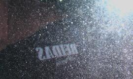 Anksti pradėjo savaitgalį - girtas padarė avariją