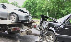 Po kraupios kaktomušos trys žmonės atsidūrė ligoninėje