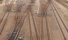 Plokštės trūkinėja, darbai vėluoja