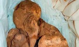 Vokietija grąžino Peru 600 metų senumo mumiją