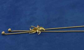 Vyro gyvybę išgelbėjo auksinė grandinėlė