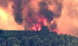 Gaisrai Ispanijoje sunaikino 2 000 hektarų miškų