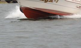 Kauno mariose pavogti kateriai surasti be įrangos