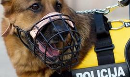 Alkoholio ištroškusį parduotuvės plėšiką padėjo sulaikyti aviganė Ada