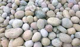 Ilgapirštį Turgaus aikštės gyventoją sudomino akmenys