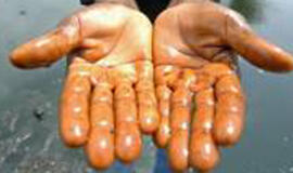 Indija: ministras leido savo pavaldiniams vogti