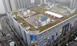 Kinijoje vilos išdygo ant prekybos centro stogo