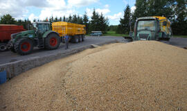 Kretingos rajono ūkininkai džiaugiasi rekordiniu derliumi