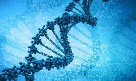 Kubiniame milimetre DNR galima išsaugoti 704 terabaitus informacijos