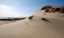 Kuršių nerija pirmauja Baltijos jūros stebuklų rinkimuose