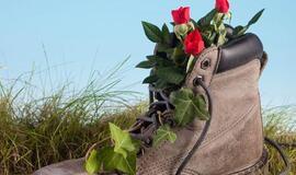 Patarimai sodininkams: rugsėjo darbai pagal Mėnulį