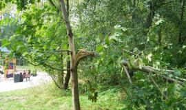 Klaipėdos poilsio parkas - be priežiūros