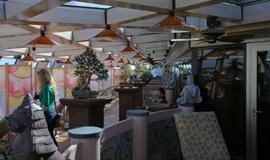 Laive "Costa Pacifica" nuo blizgesio svaigsta galva