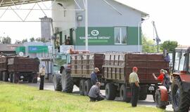 Grūdų karštinė veikia ir nieko dėtus vairuotojus