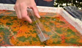 Senųjų amatų šventė Nidoje