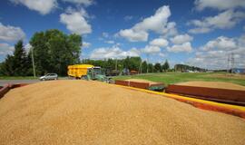 Grūdų karštinė veikia ir nieko dėtus vairuotojus