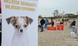 "Šunų pliaže" pramogavo klaipėdiečių numylėtiniai