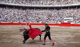 Po beveik šešerių metų draudimo korida sugrįžta į Ispanijos nacionalinę televiziją