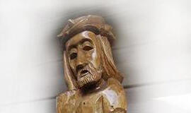 Sulaikytas mene "besispecializuojantis" vagišius