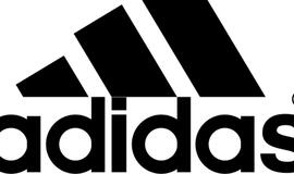 Vilniuje pavogta "Adidas" marškinėlių už 35 tūkst. litų