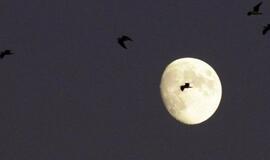 Britų policininkui įtarimų sukėlė... mėnulis