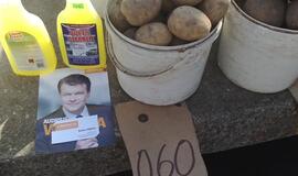 Nuobodoką rinkimų kampaniją paįvairina pilkosios technologijos