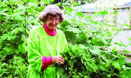 Pasaulinio garso lietuvė bus įamžinta gimtinėje