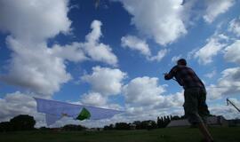 Į ekologijos kovą valandai pakilo aitvaras