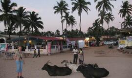 Indija: dievų užantyje