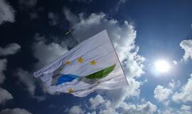 Į ekologijos kovą valandai pakilo aitvaras