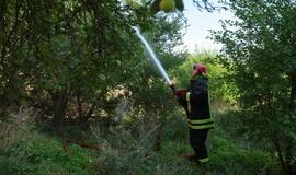 Nemuno gatvėje degė apleistas pastatas