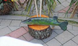 Žuvienės virimo čempionatas Šilutėje