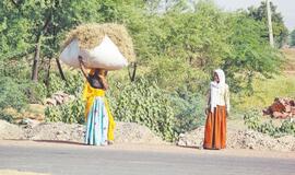 Indija: dievų užantyje