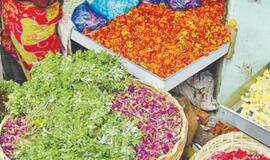 Indija: dievų užantyje