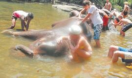 Indija: dievų užantyje