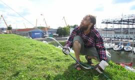 Į ekologijos kovą valandai pakilo aitvaras