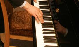 Policija pasigailėjo pianinu grojusio menininko-įsilaužėlio