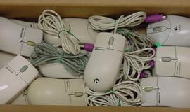 Užsienyje gyvenantys piliečiai balsuoti internetu negalės